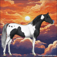 Horse Color:Black Tobiano 