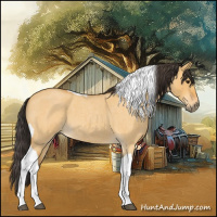Horse Color:Buckskin Roan Dun Tobiano 