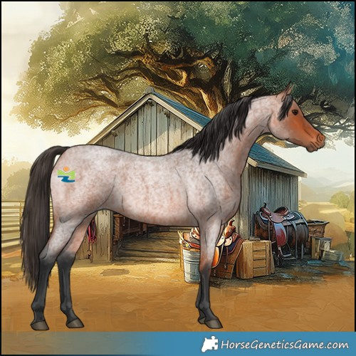 Horse Color:Bay Roan 