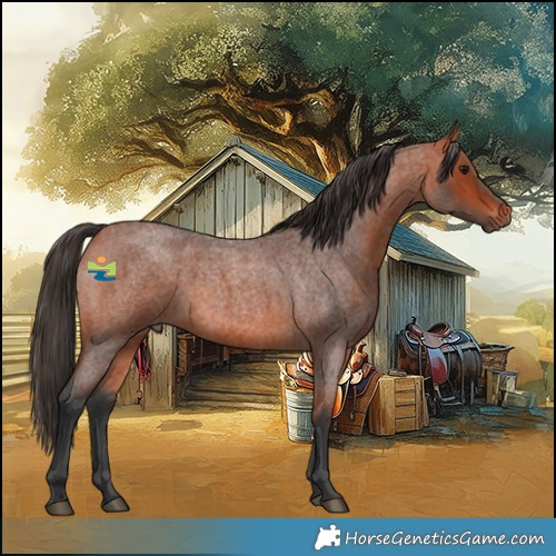 Horse Color:Bay Roan 