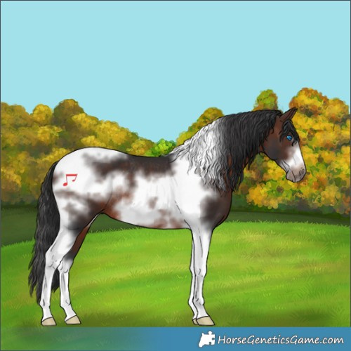 Horse Color:Brown Sabino Tobiano Frame Rabicano 