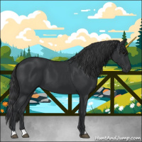 Horse Color:Black 