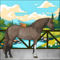 Horse Color:Liver Red Dun Rabicano 