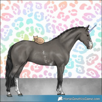 Horse Color:Grullo Sabino Rabicano 