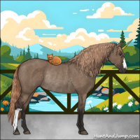 Horse Color:Liver Red Dun Rabicano 