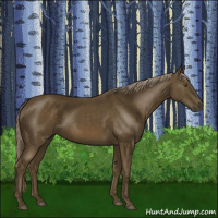 Horse Color:Chocolate Palomino 