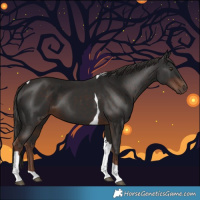 Horse Color:Liver Chestnut Tobiano 