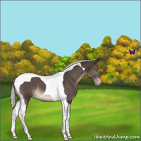Horse Color:Liver Chestnut Mushroom Tobiano 