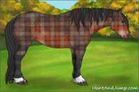 Horse Color:Plaid  Brown 
