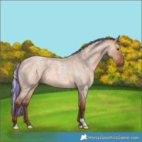 Horse Color:Painted Silver Bay Roan Dun 