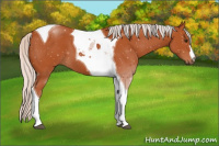 Horse Color:Silver Bay Tobiano 