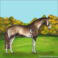Horse Color:Painted Liver Red Onyx Sabino Splash Tobiano 