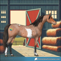Horse Color:Bay Roan Tobiano Rabicano 