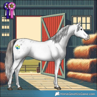 Horse Color:Blue Roan Appaloosa 