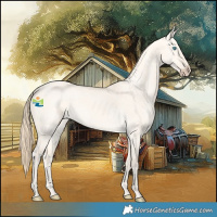 Horse Color:Perlino Dun 