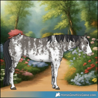 Horse Color:Grullo Sabino Rabicano 