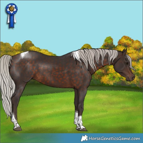 Horse Color:Silver Brown Tobiano 