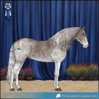 Horse Color:White Spotted Silver Black Tobiano 