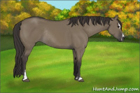 Horse Color:Smoky Grullo Sabino Rabicano 