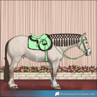 Horse Color:Classic Champagne Dun Sabino Rabicano 