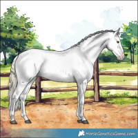Horse Color:Palomino Ice Roan Dun Splash Tobiano Appaloosa Rabicano 