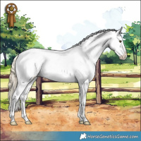 Horse Color:Palomino Roan Dun Splash Tobiano Frame Varnish Rabicano 