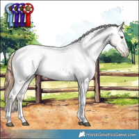 Horse Color:Red Ice Roan Sabino Splash Appaloosa Rabicano