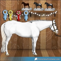Horse Color:Palomino Dun Sabino Splash Tobiano Frame Blanket Rabicano 