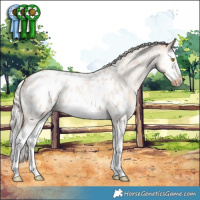 Horse Color:Silver Classic Champagne Roan Dun Splash Frame Appaloosa Rabicano 