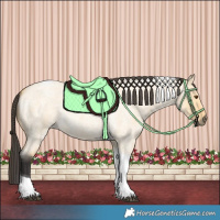 Horse Color:Buckskin Roan Dun Tobiano 