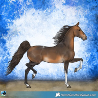 Horse Color:Buckskin Tobiano 