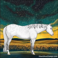 Horse Color:Bay Chinchilla Dun Appaloosa 