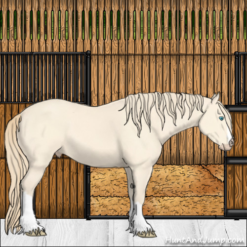 Horse Color:Perlino 