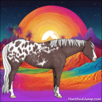 Horse Color:Chocolate Silver Black Chinchilla Sabino Appaloosa 