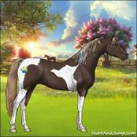 Horse Color:Liver Chestnut Tobiano 