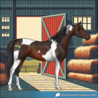 Horse Color:Brown Tobiano 