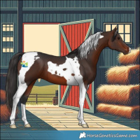 Horse Color:Brown Tobiano 