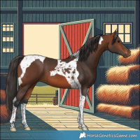 Horse Color:Bay Tobiano 
