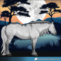 Horse Color:Silver Grullo Chinchilla 