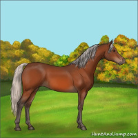 Horse Color:Silver Brown 
