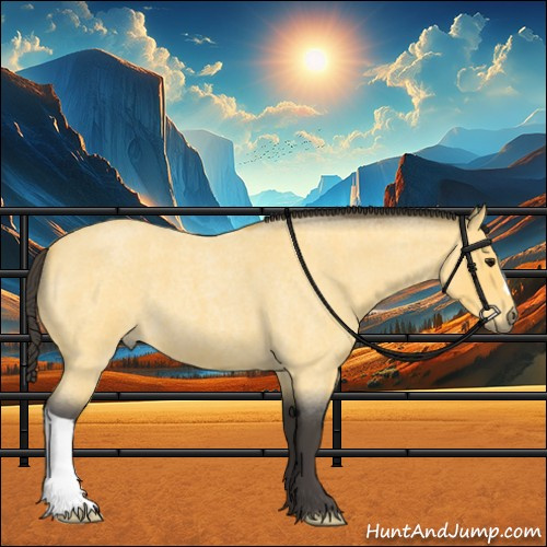 Horse Color:Buckskin Roan 