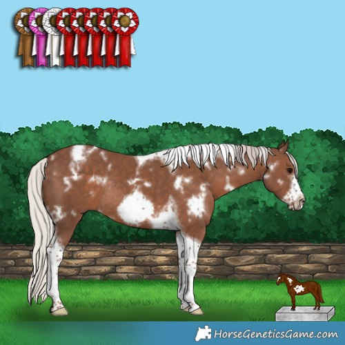 Horse Color:White Spotted Silver Black Tobiano Frame Rabicano 