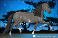 Horse Color:Grullo Sabino Rabicano 