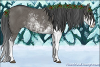 Horse Color:Grullo Sabino Rabicano 