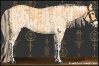 Horse Color:Buckskin Sabino Rabicano  and Perlino Sabino Rabicano 