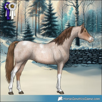 Horse Color:Liver Red Roan Pearl Tobiano Frame