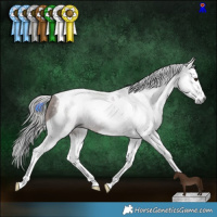 Horse Color:Gray Liver Chestnut Splash Tobiano 