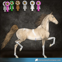 Horse Color:Buckskin Pearl Tobiano 