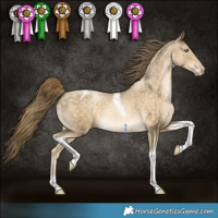 Horse Color:Buckskin Pearl Tobiano 