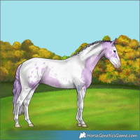 Horse Color:Watercolor Bay Dun Sabino Splash Tobiano Appaloosa Rabicano 